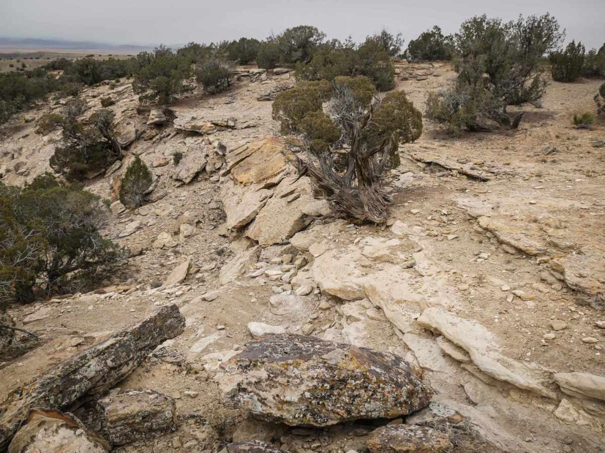 Arch Loop Trail photo 3
