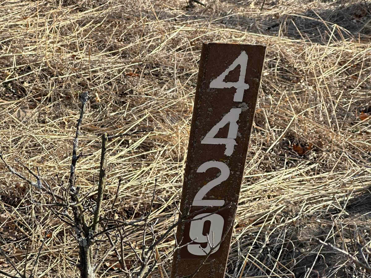 FS 4429 photo 2