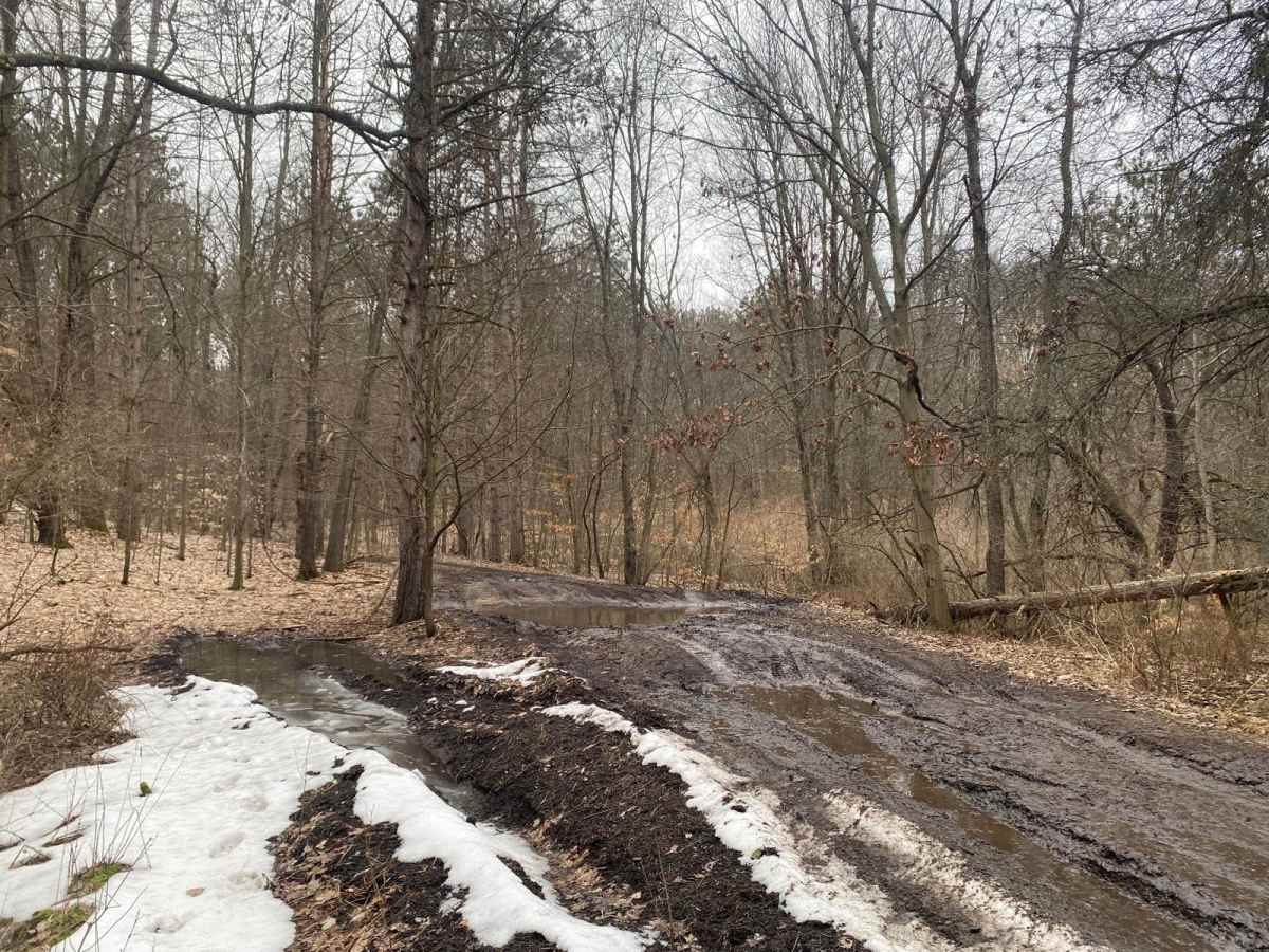 Mud Slide - FS 5011 photo 6