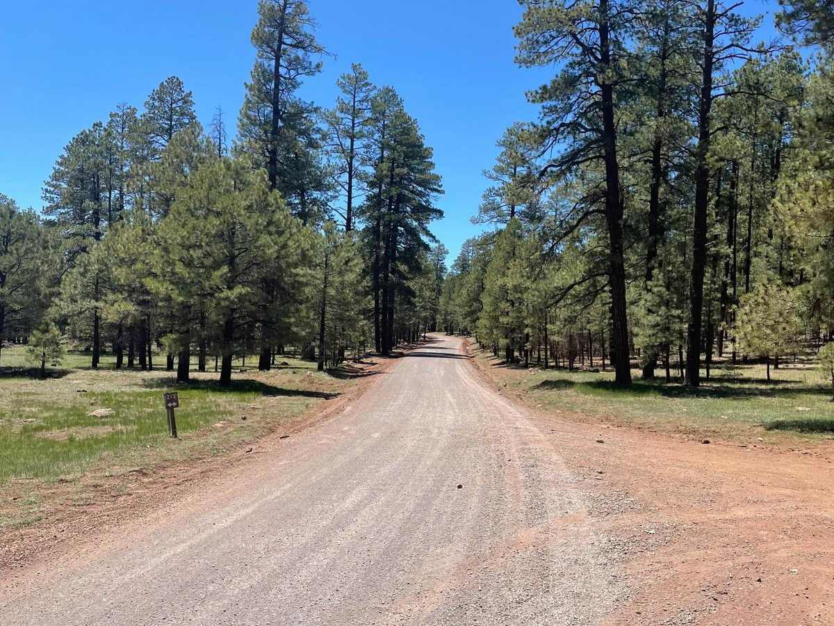 Stoneman Lake Road trail photo