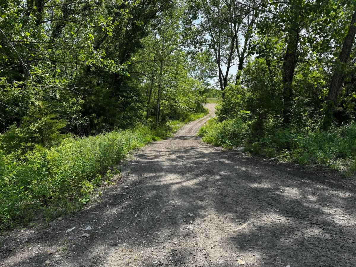 Green 1 trail photo