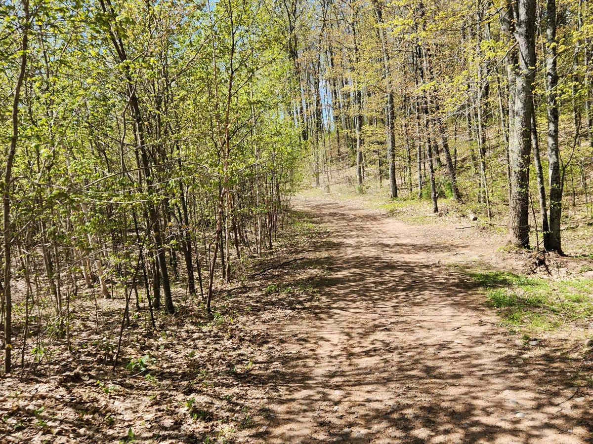 Bayfield Timber Trail photo 5