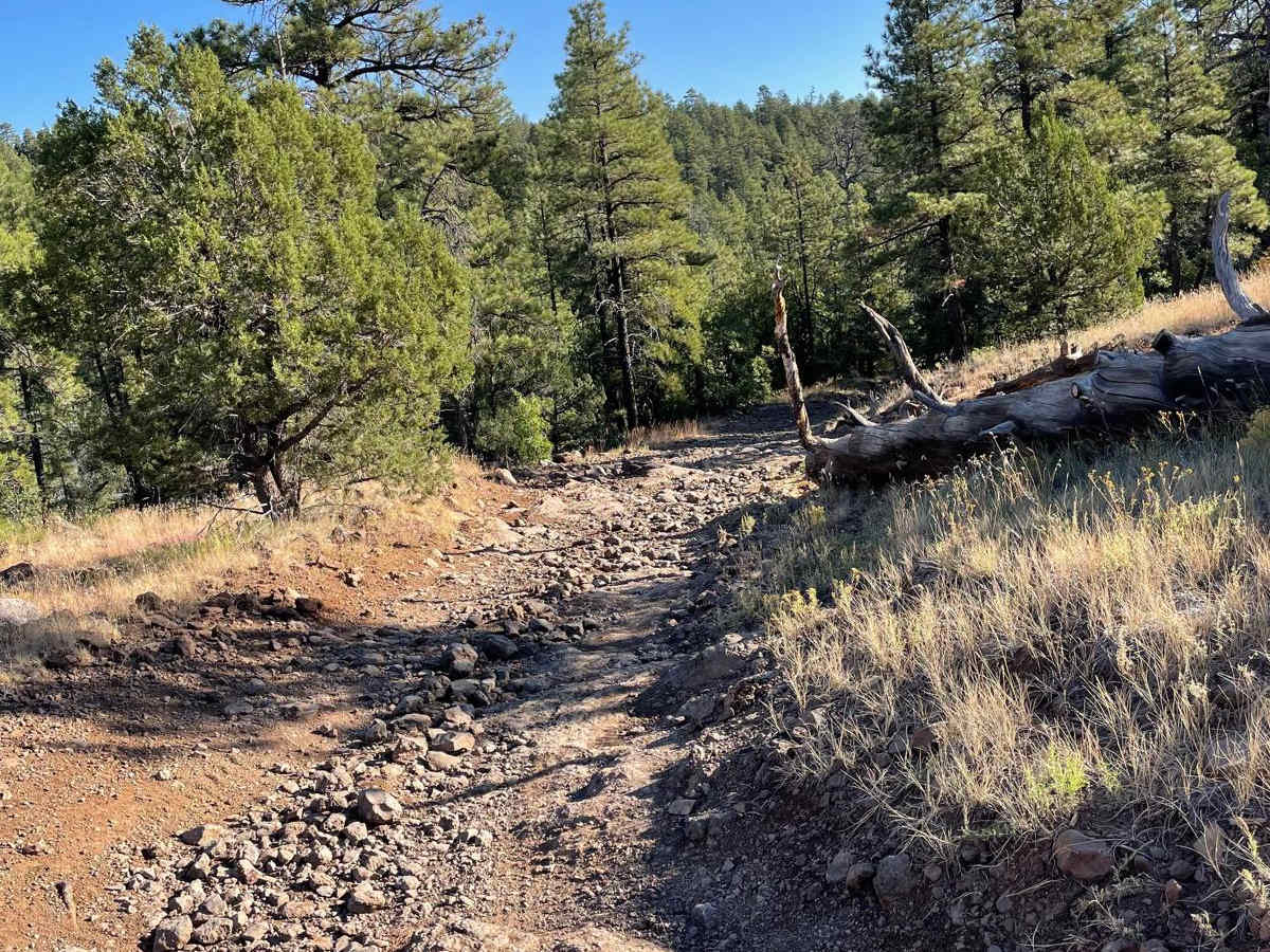West FS 229 trail photo