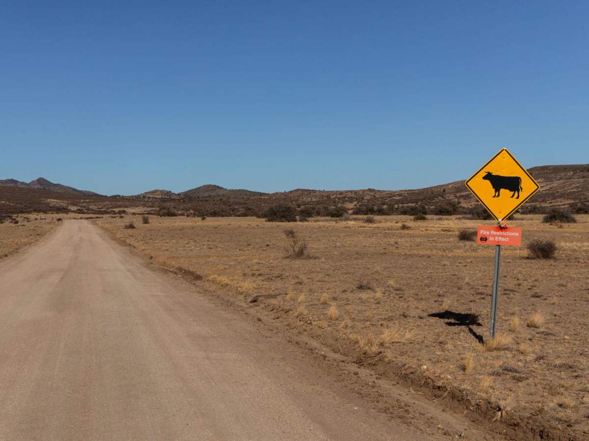 Sorrels Ranch Offshoot photo 2