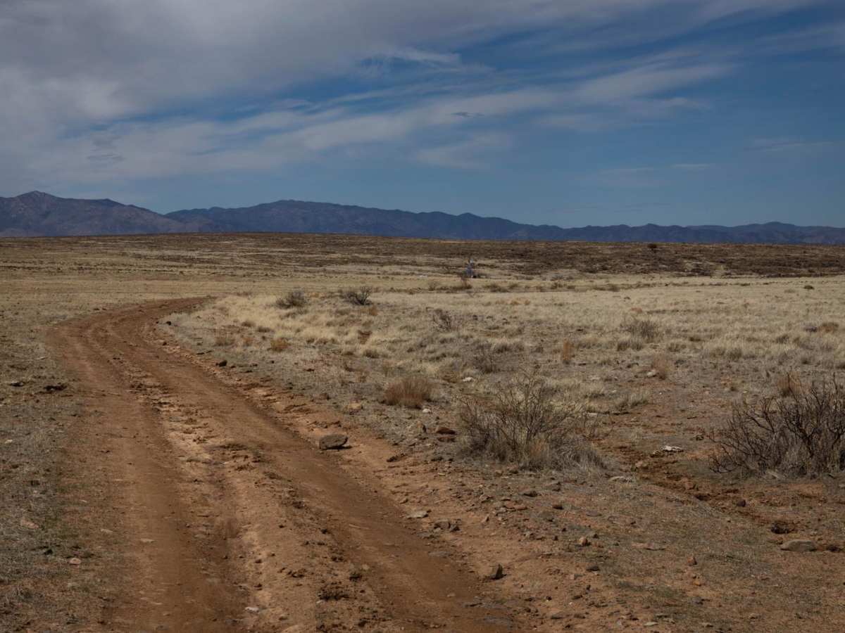 Volcanic Pastures trail photo