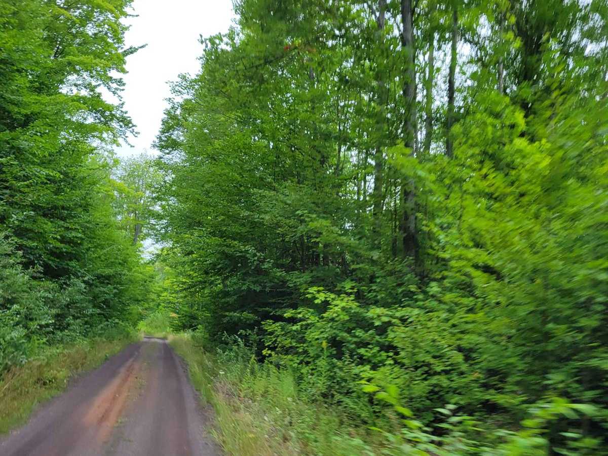 Keweenaw State Trail Segment 2 photo 3