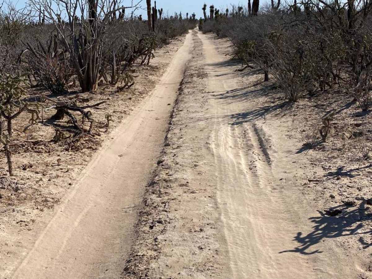KM 131 - Middle Road photo 5