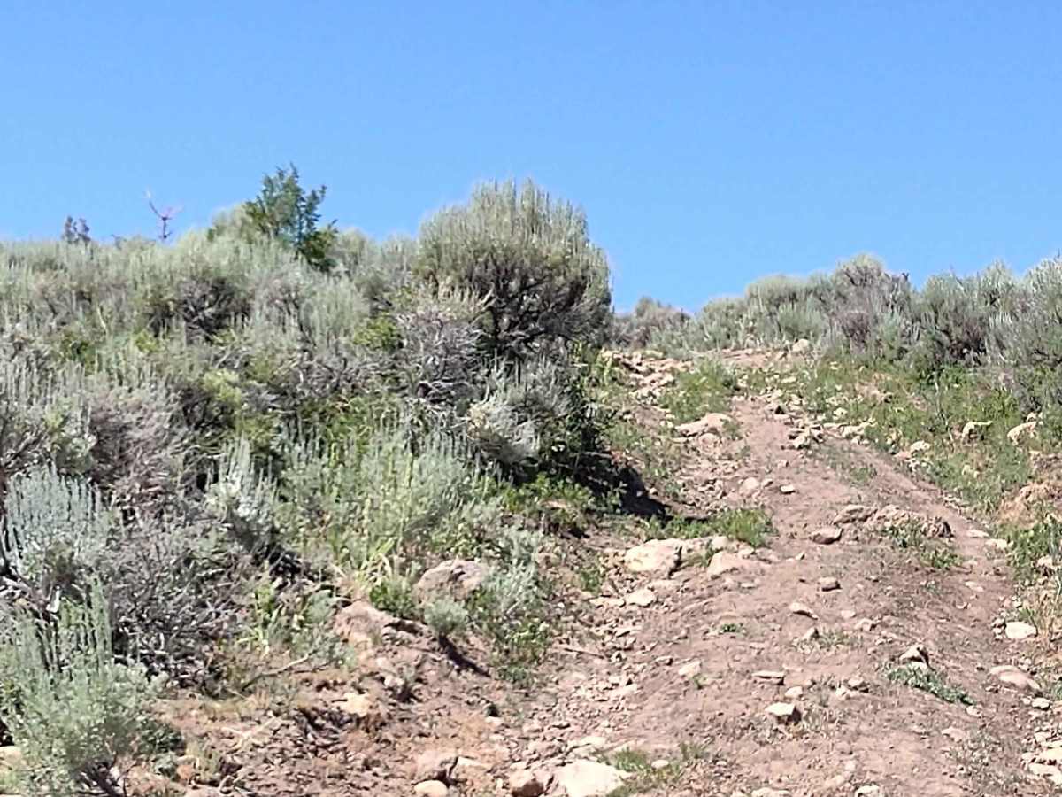 Davis Hollow Overlook - FS 42115 photo 4