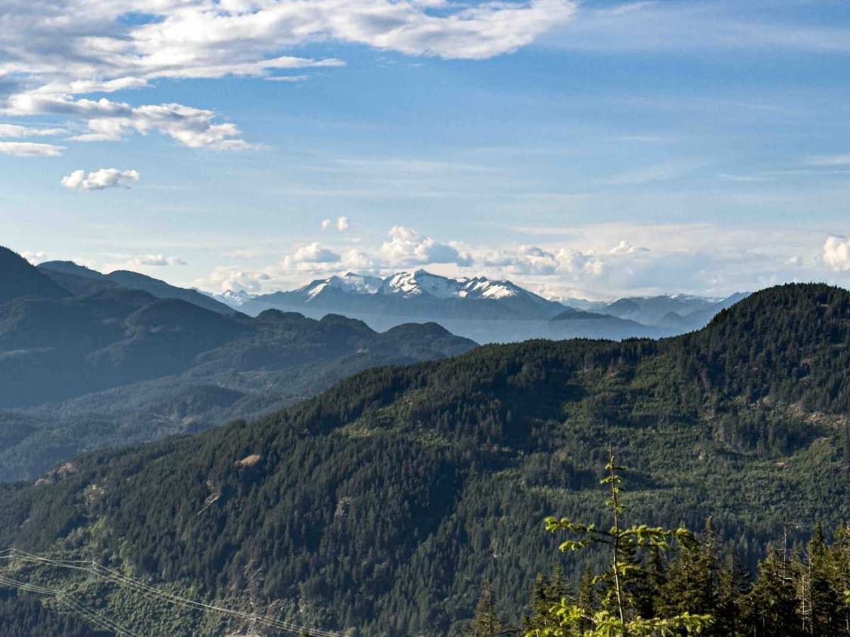 Mount Woodside trail photo