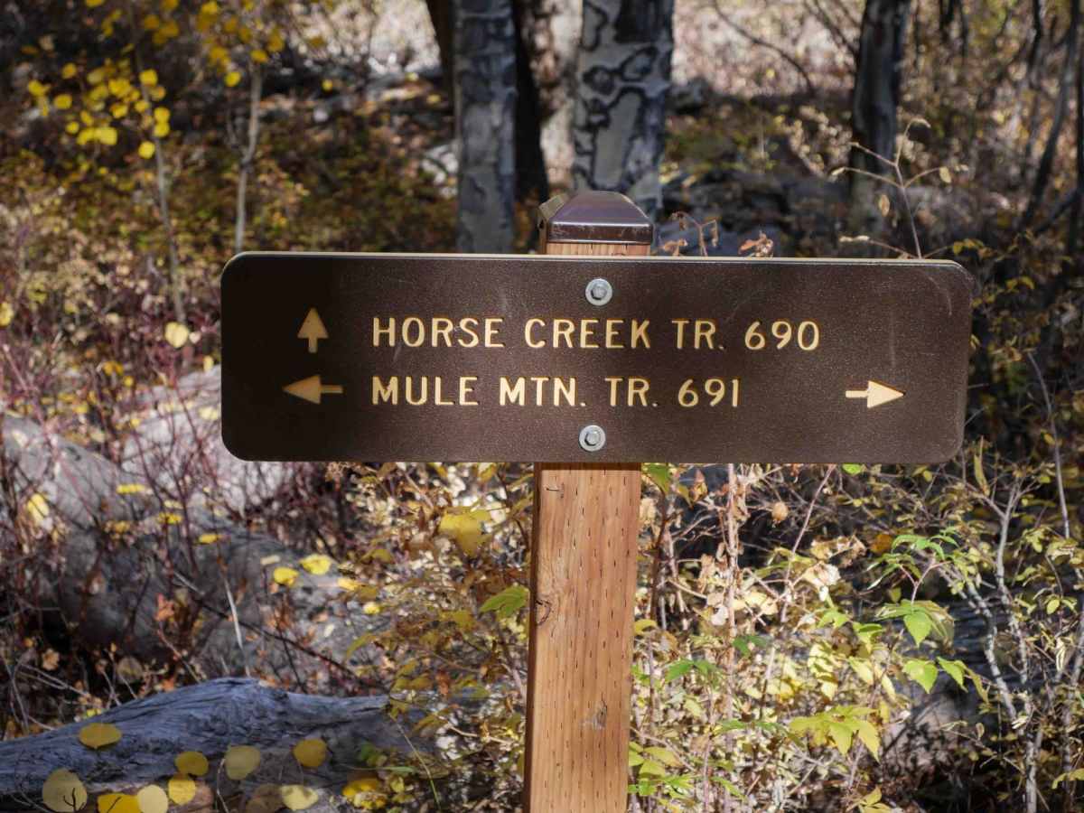 Horse Creek photo 5