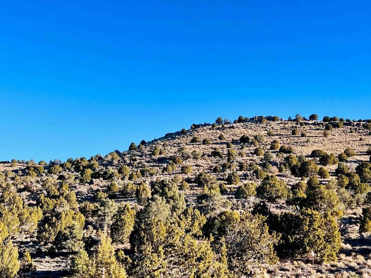 Bristol Pass photo 5