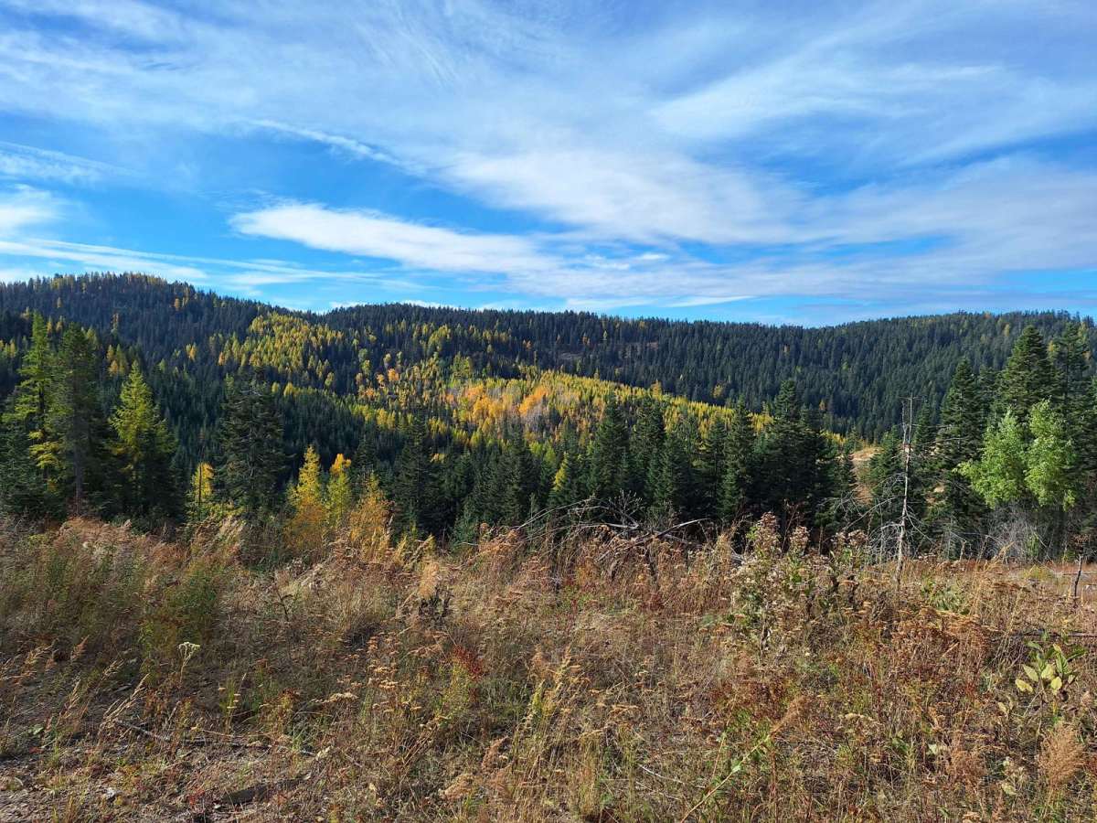 Mica Road & Upper Outer Limits photo 6