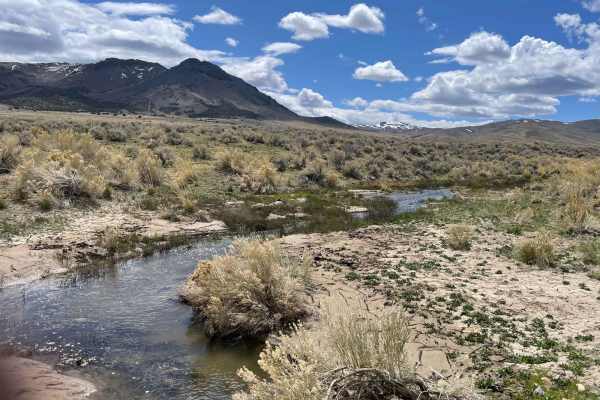 Spaulding Canyon Trail