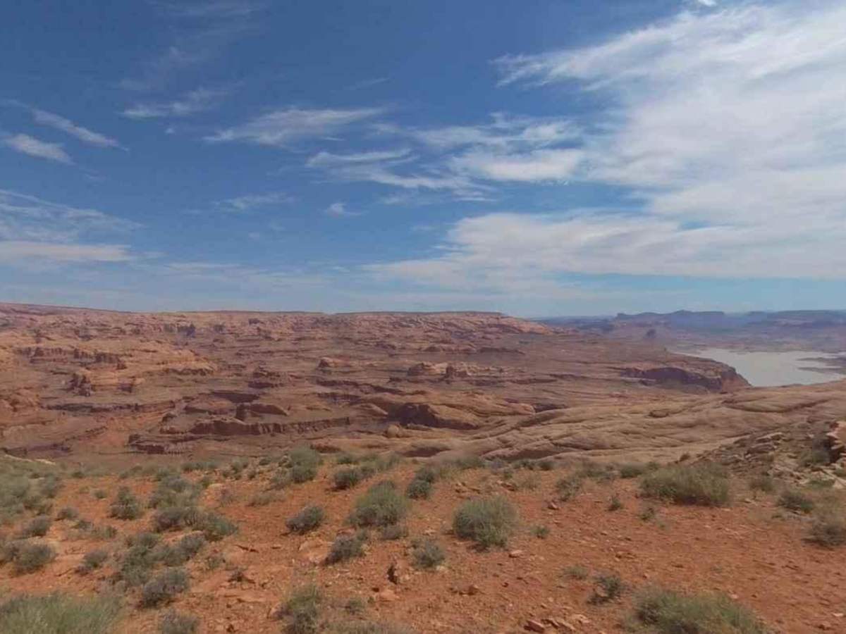 BLM13470 photo 4