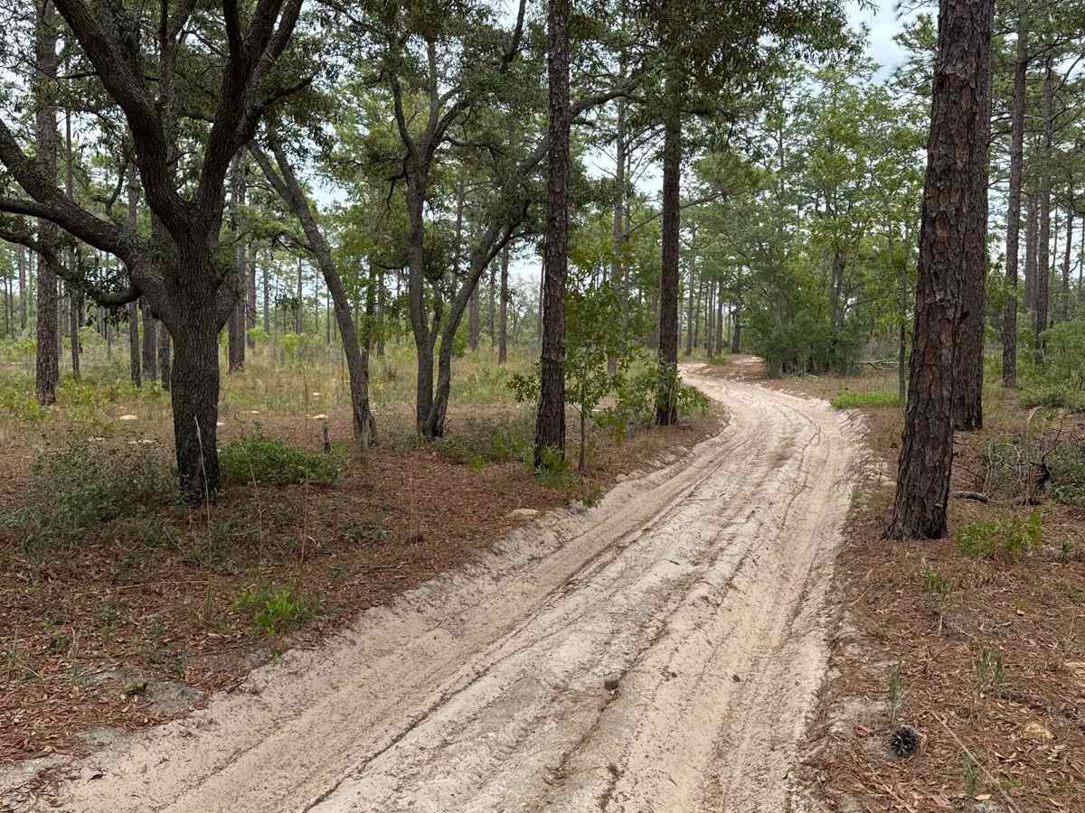 Keel - ONF 61-1.7 trail photo