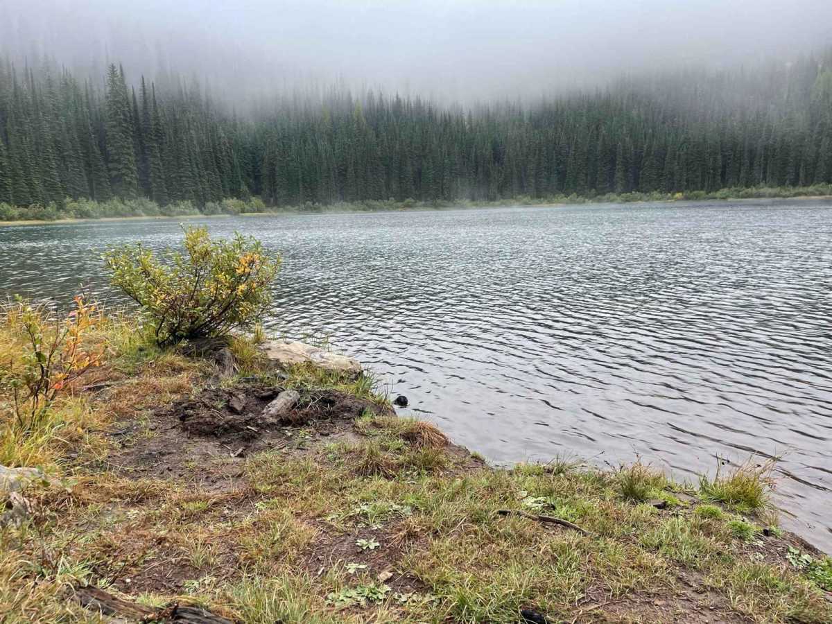 Silver Creek to Silver Lake photo 5