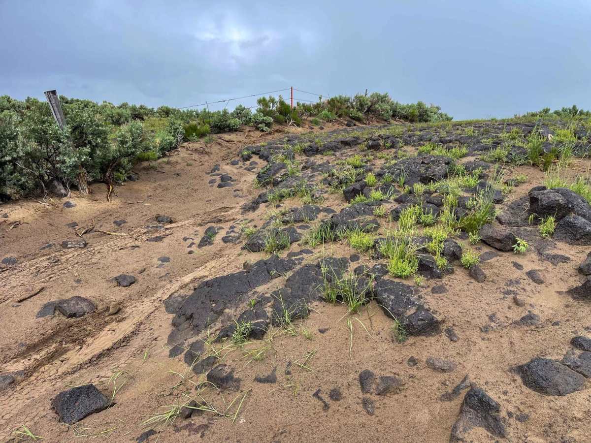 Menan Butte to Market Lake photo 6