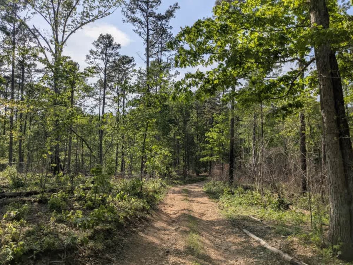 Bee Branch Road trail photo