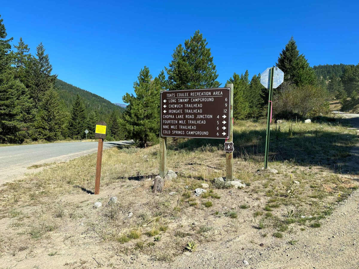 Loomis Forest Nine Mile photo 5