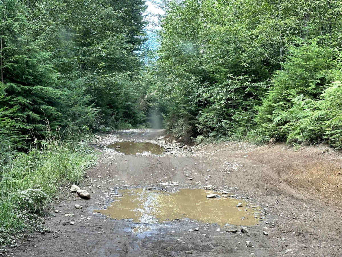 Road 99 photo 5