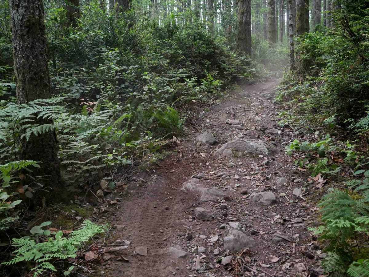 Derailleur trail photo