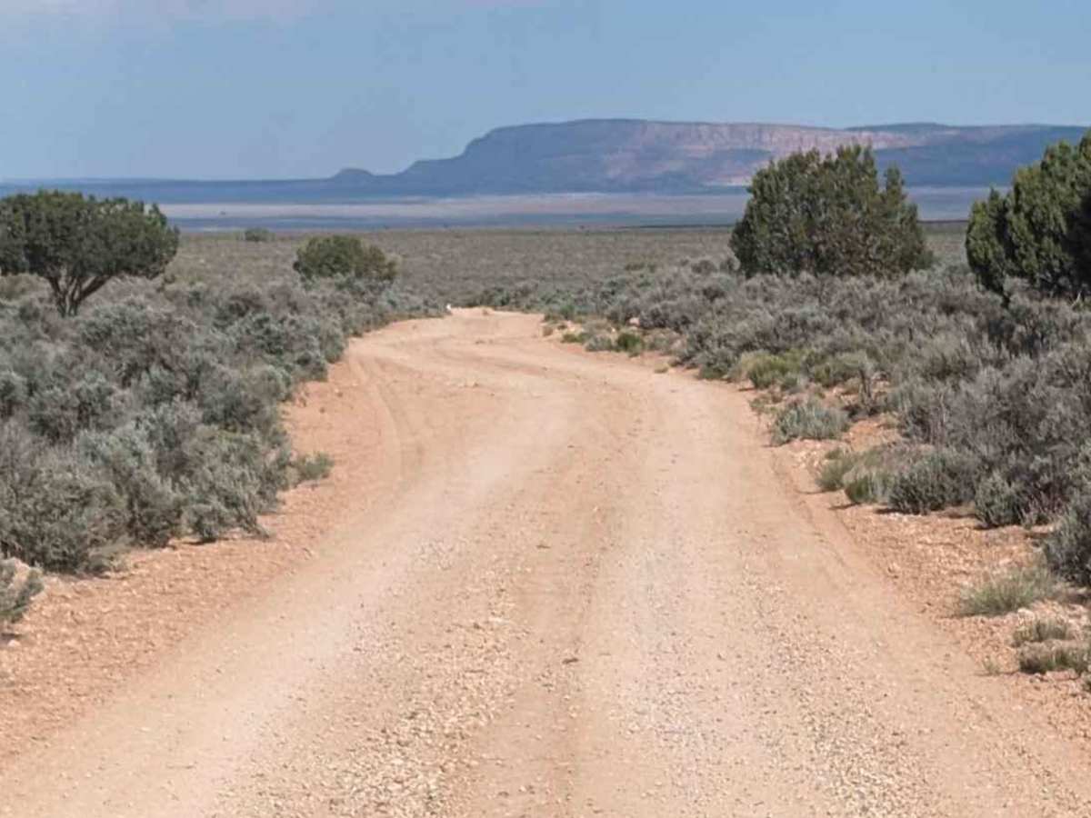 Gunsight Point Road - BLM1048-BLM164 photo 6