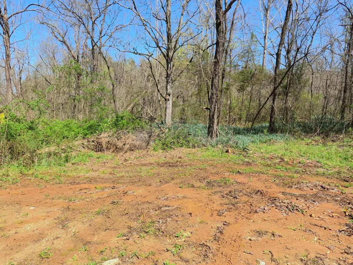 Collins Cemetery Road trail photo