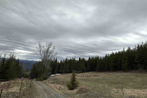 Albers Creek Road