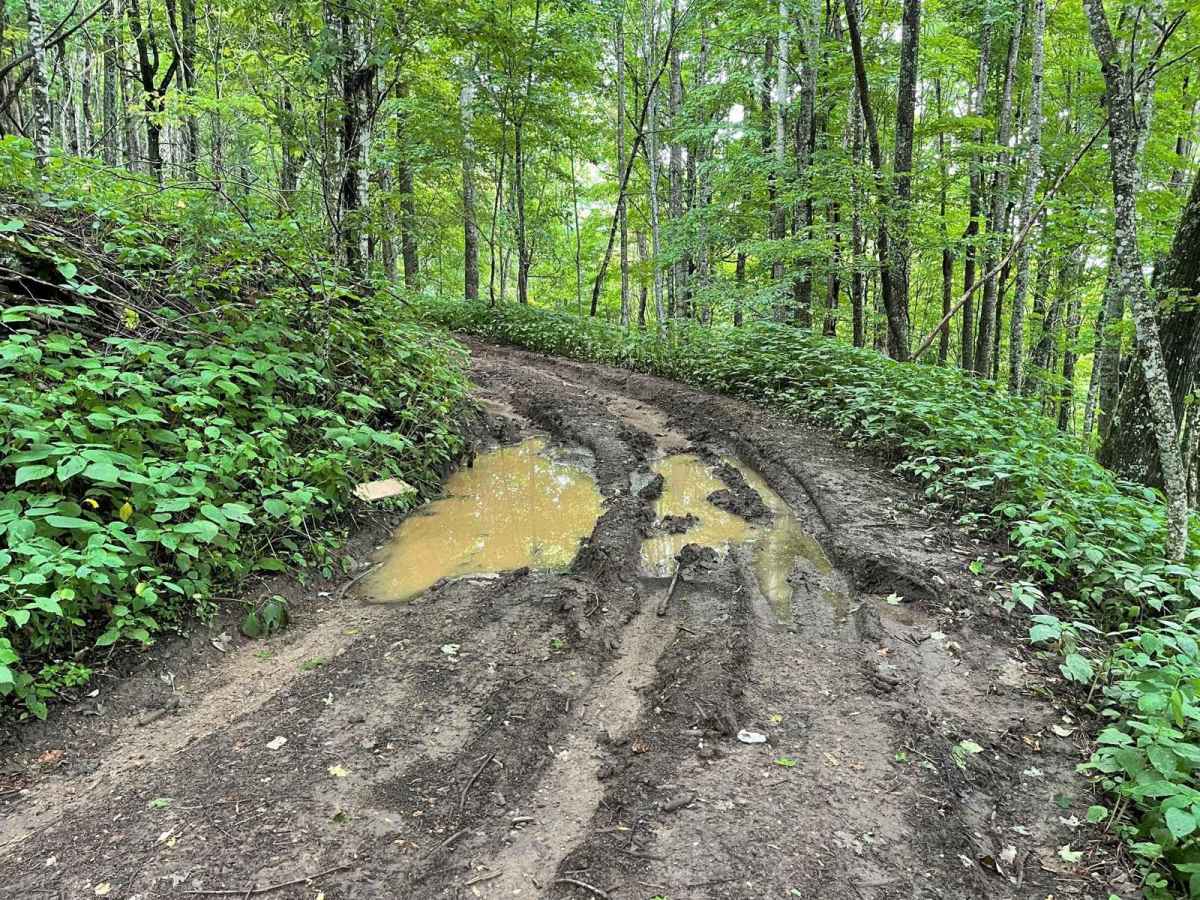 Little Stoney Creek/Laurel Fork photo 2