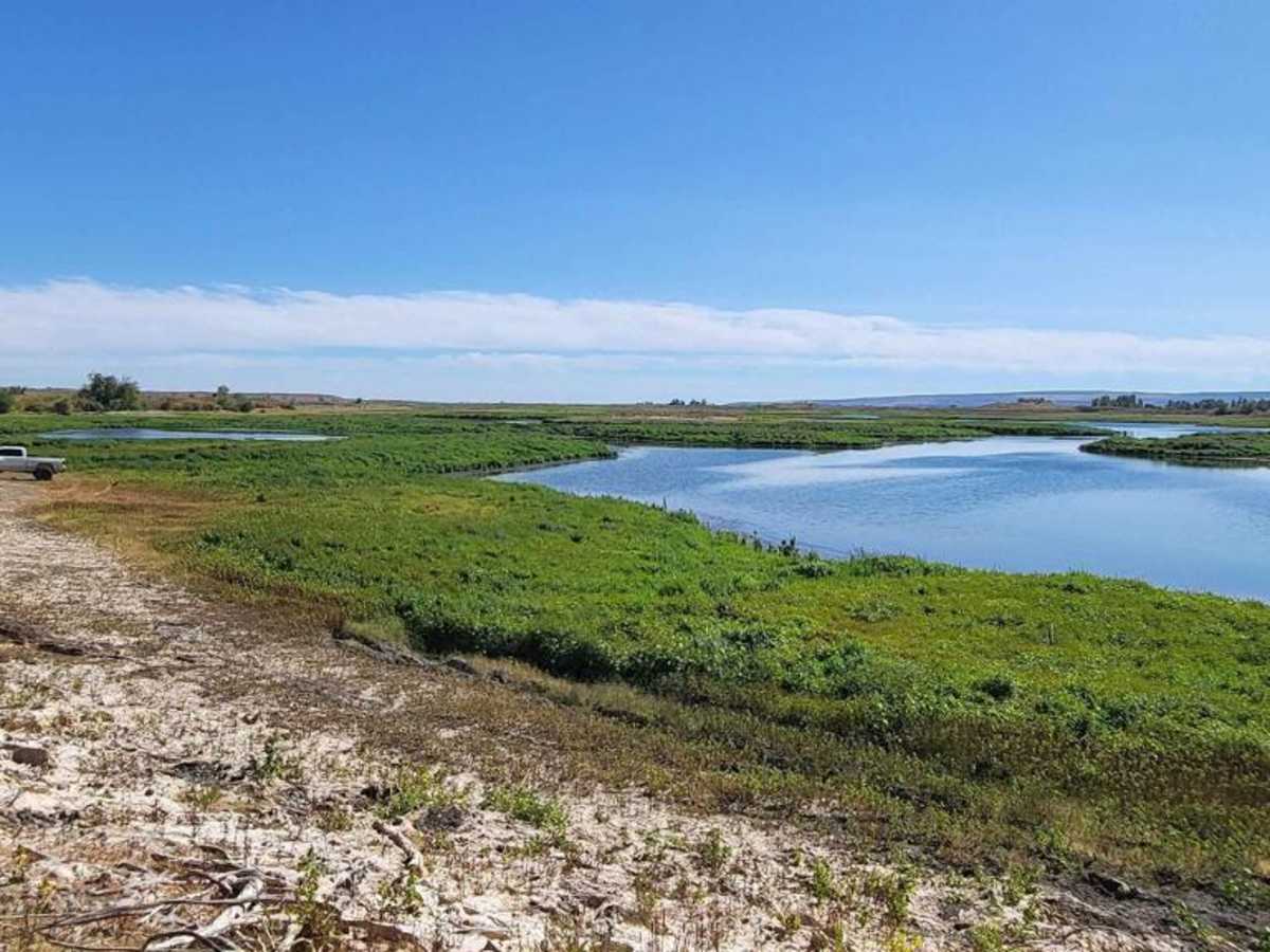 Bird Reserve photo 2