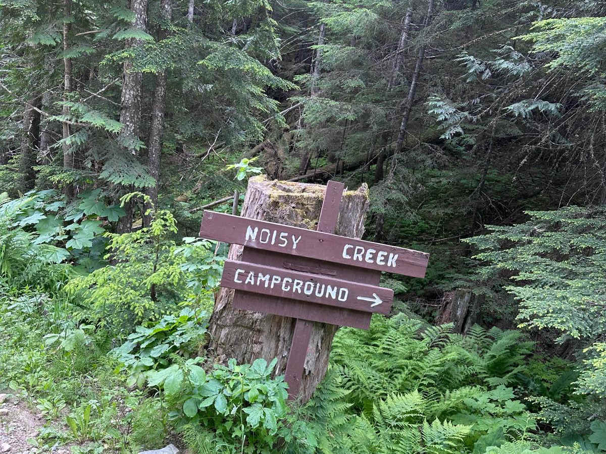Noisy Creek trail photo