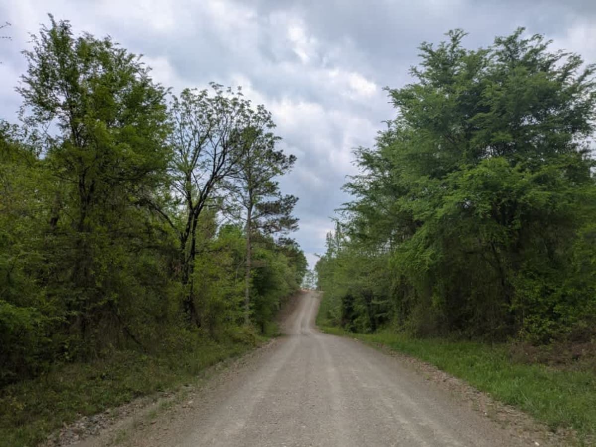 Gillham Lake Road photo 3