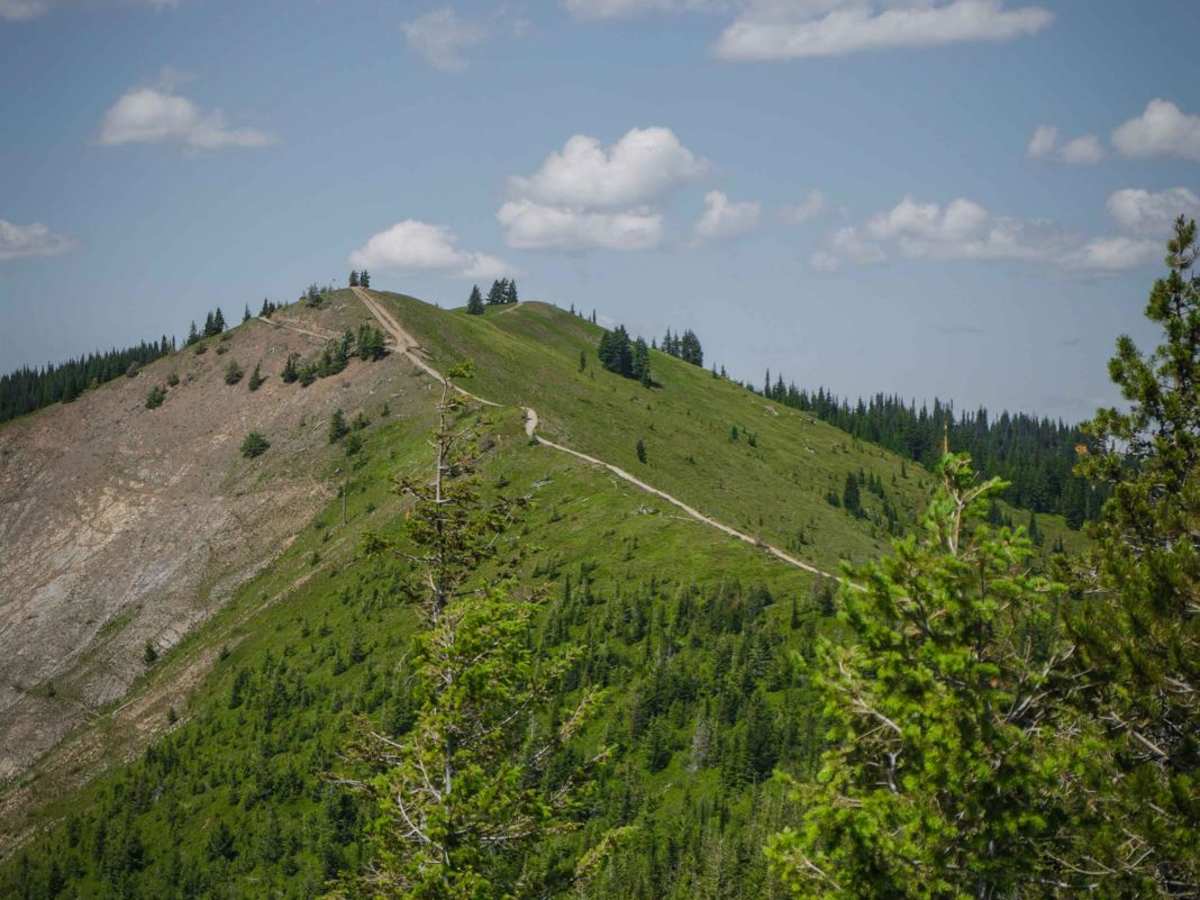 Dam Creek Divide ATV trail photo