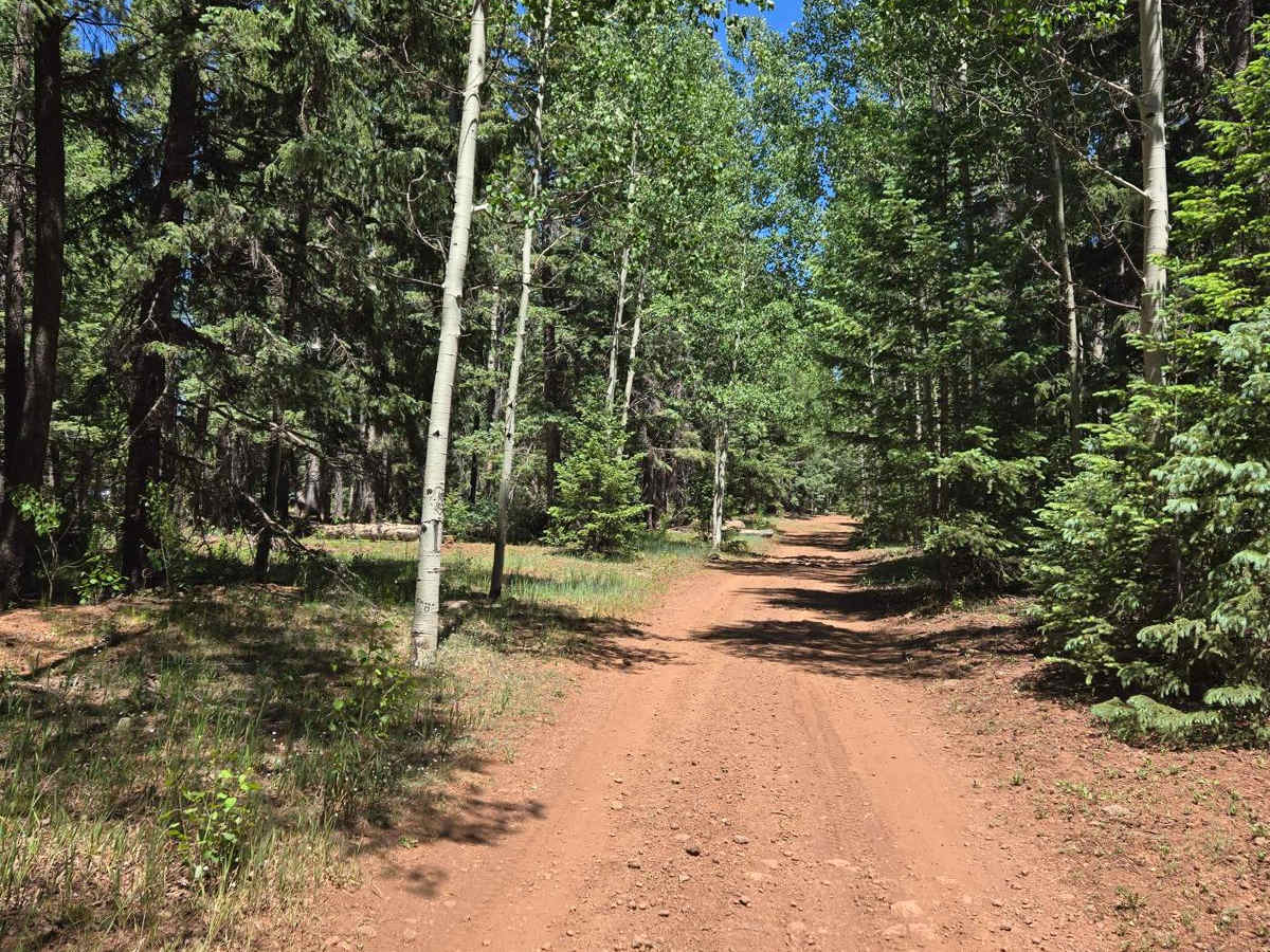 Carnero Springs Road 8556 photo 2