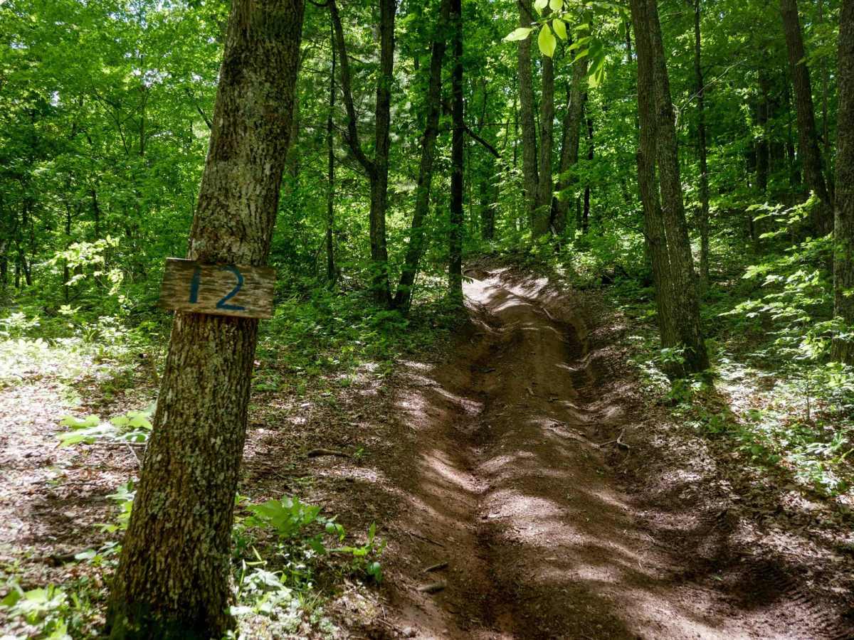 Trail 12 trail photo