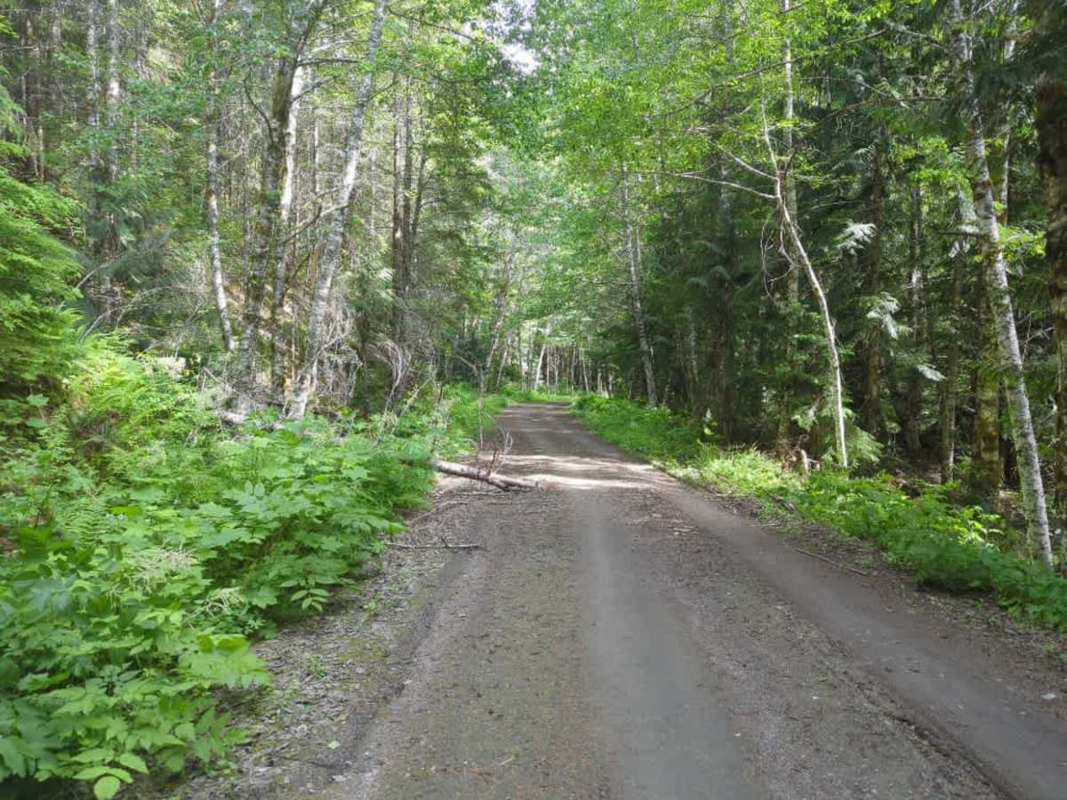 County Line photo 3