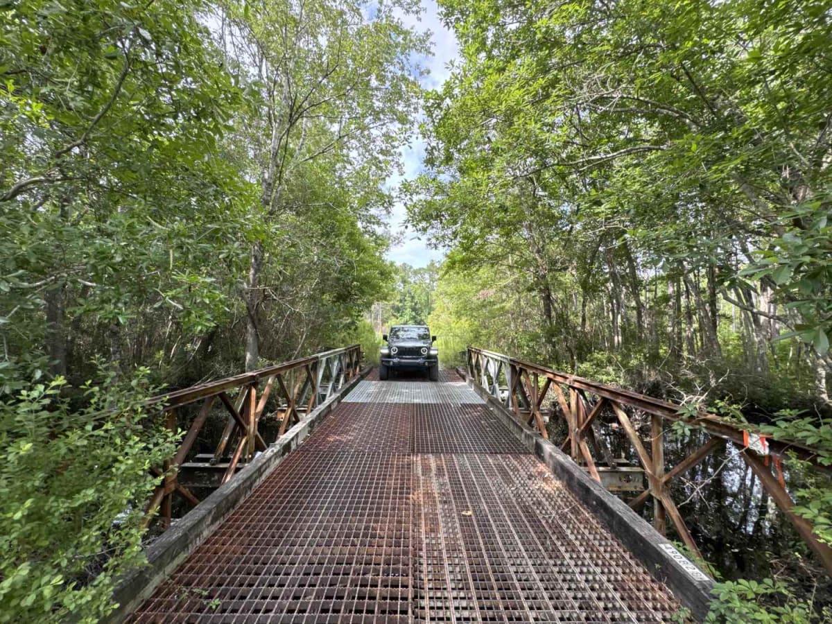 Warren Bluff Road trail photo