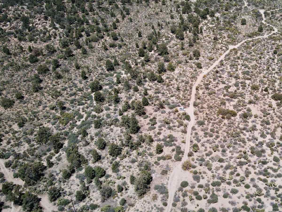 Cactus Flat - 3N62 trail photo