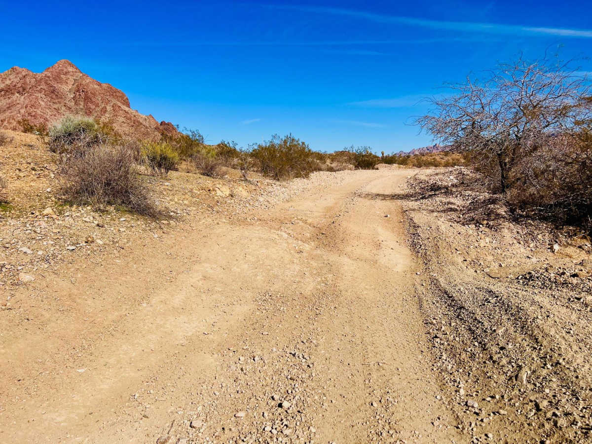 Bypass AZ Peace Trail Bullhead City to Oatman Medium photo 5