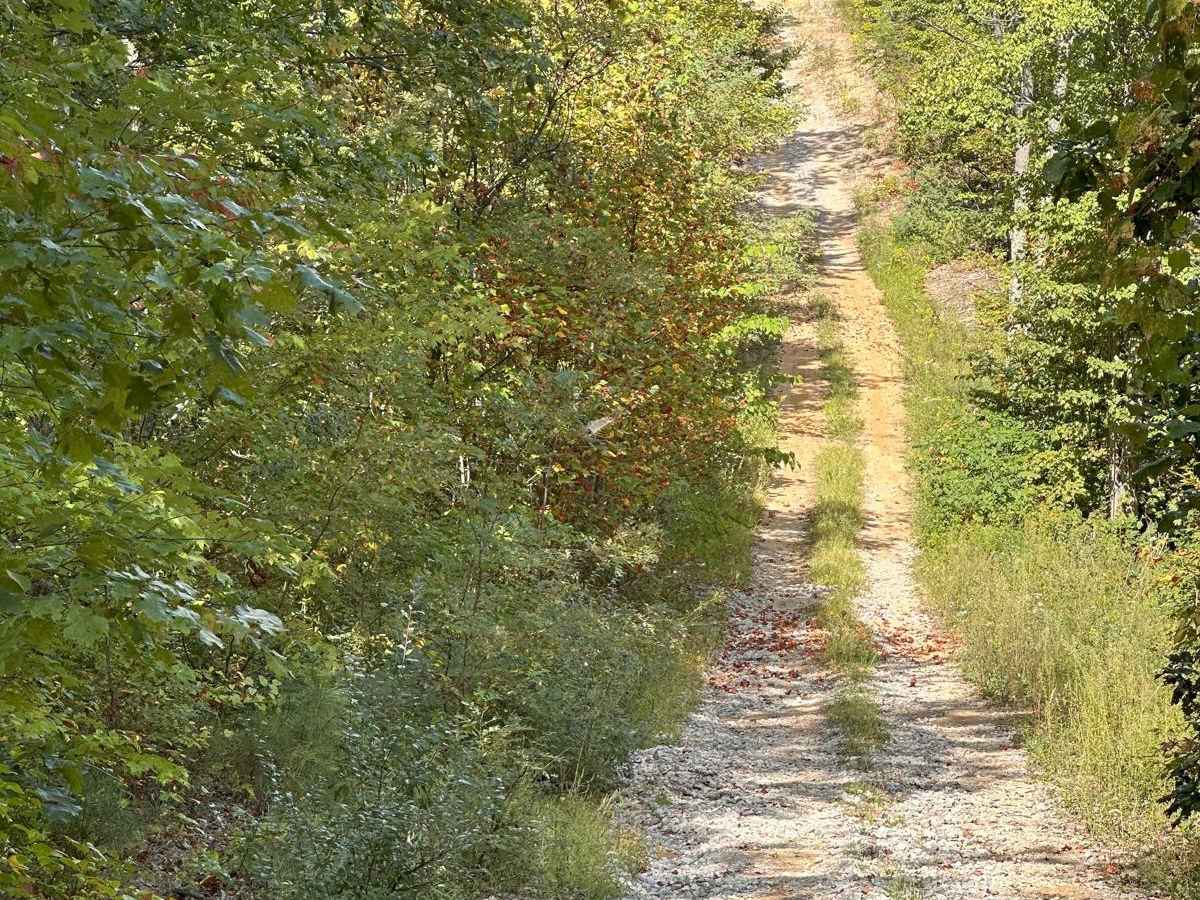 113 trail photo