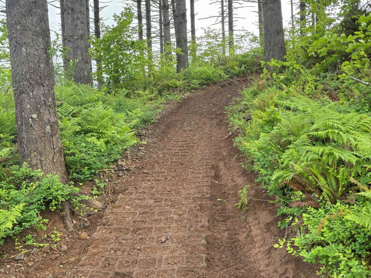 Jones Creek ORV photo 5