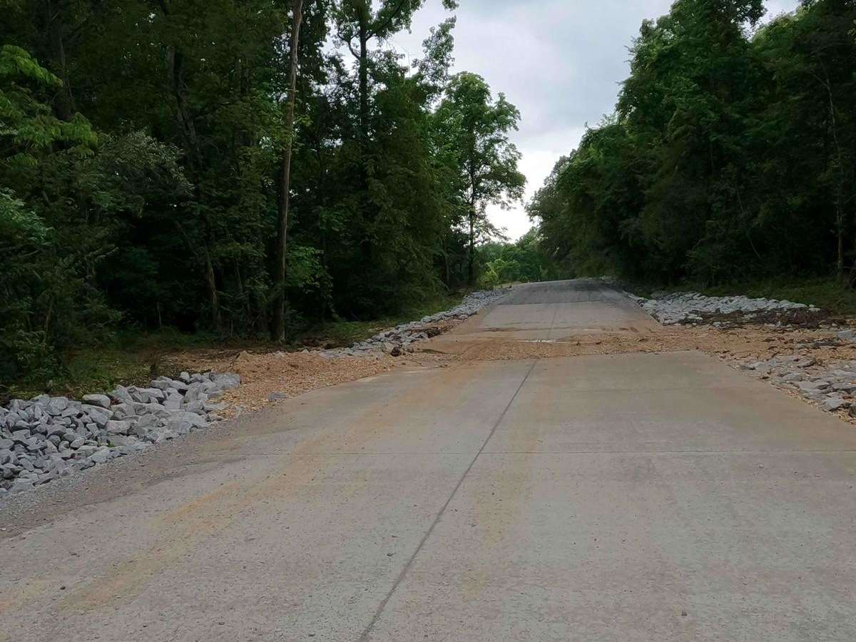 Turkey Creek Road FSR 167 photo 2