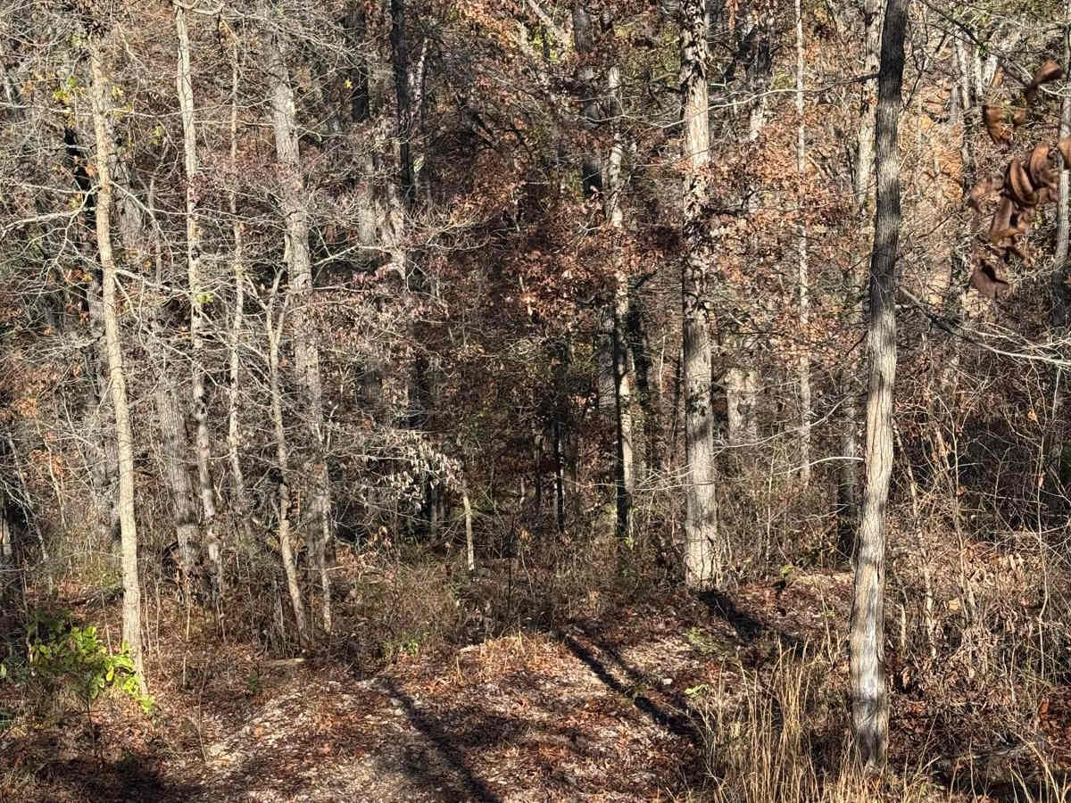 Yellow 126 trail photo