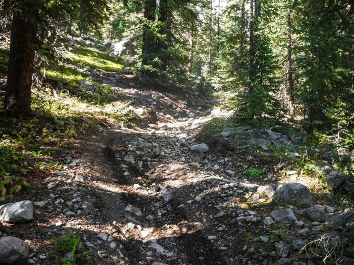 Gold Creek (South) photo 5