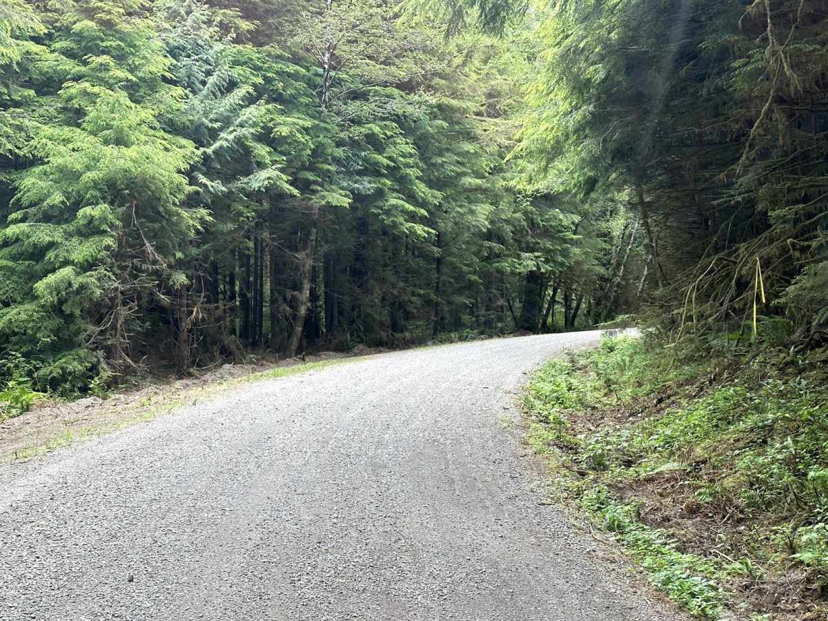Horse Camp Trail photo 5