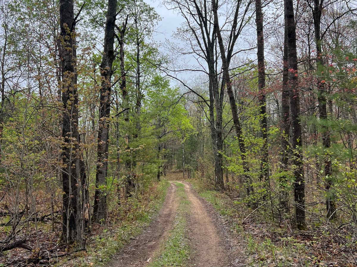 17-1/4 Trail photo 3