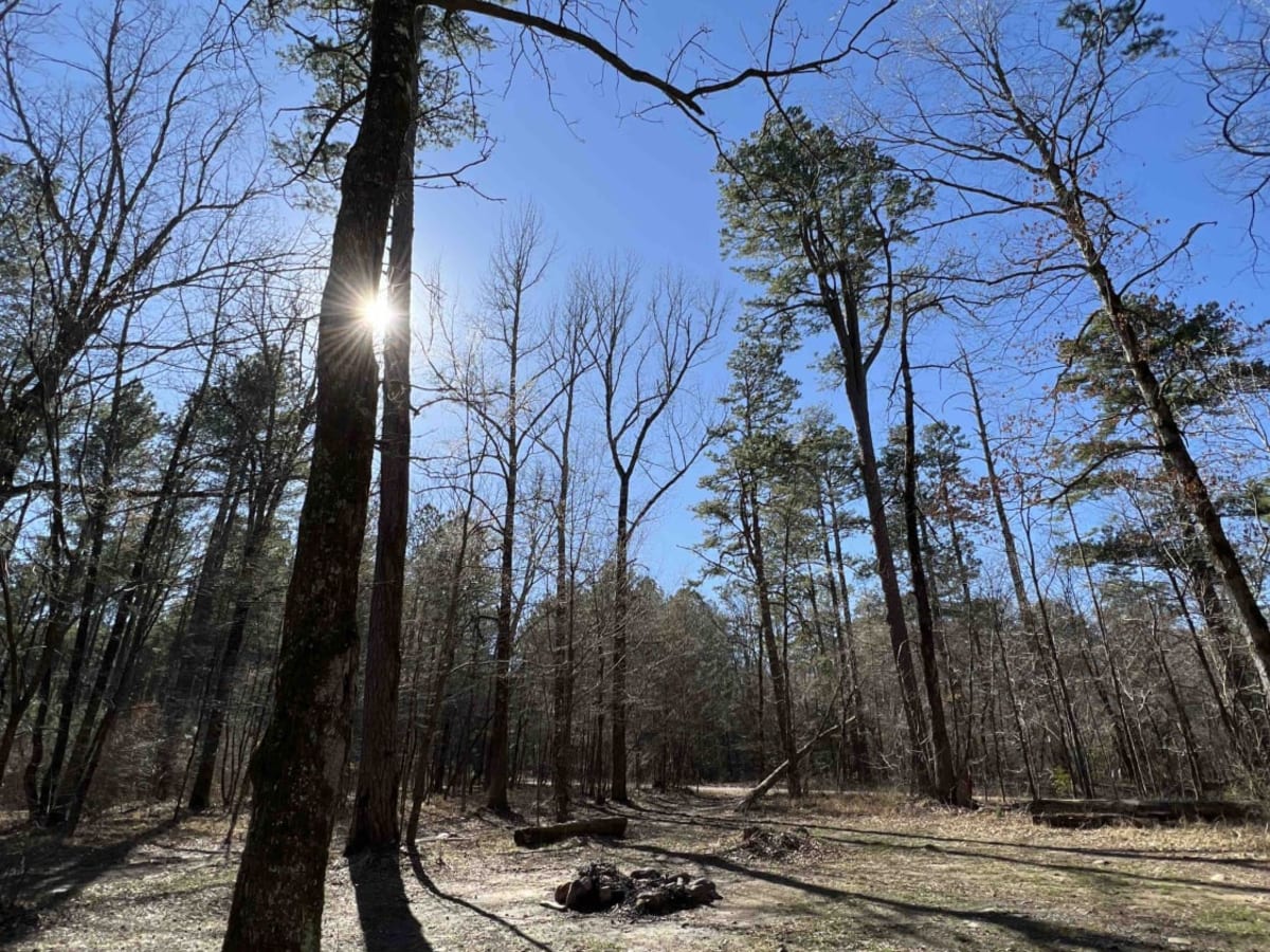Angling Pinnacle 2 trail photo