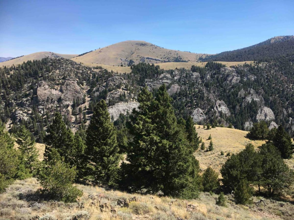 Middle Fork Pass Creek Trail trail photo
