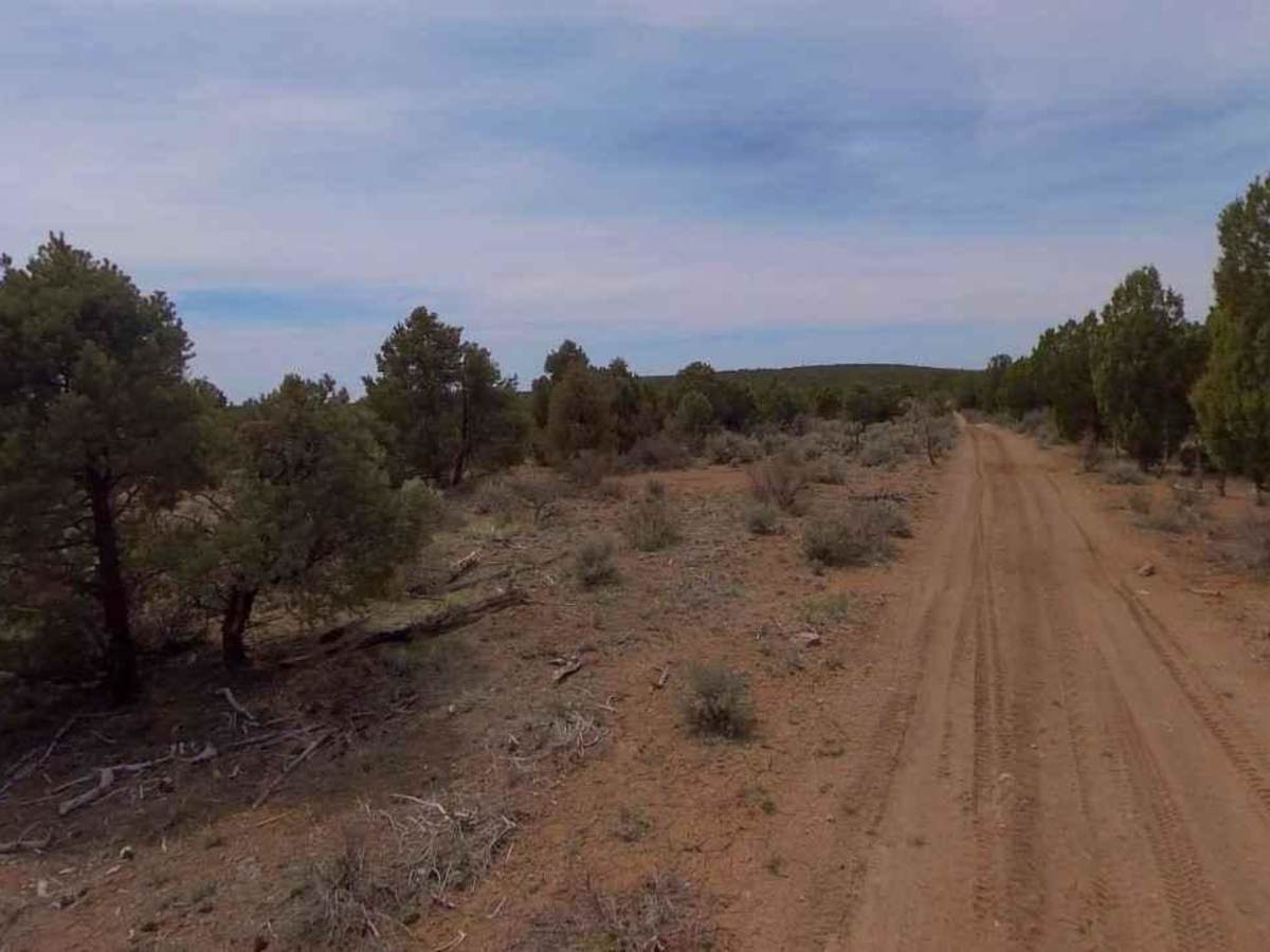 Dixie National Forest-FR30875 photo 4