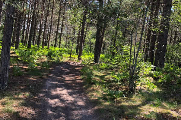 Danaher Plains Trail